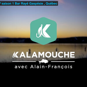 Saison 4